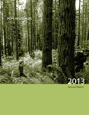 2013 Annual Report